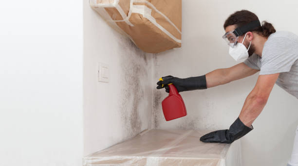 Attic Mold Remediation treatment on roof deck in Fallentimber